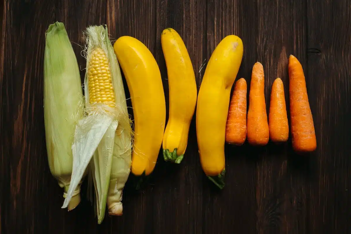 Les secrets de la courgette jaune : comment bien la préparer et la cuisiner